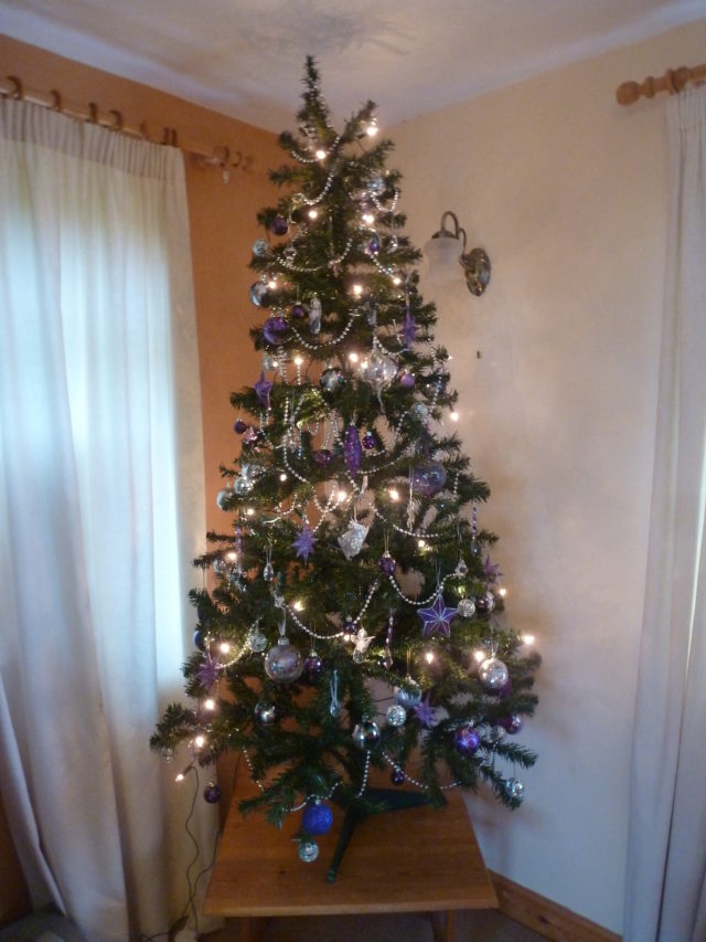 Oh Christmas tree