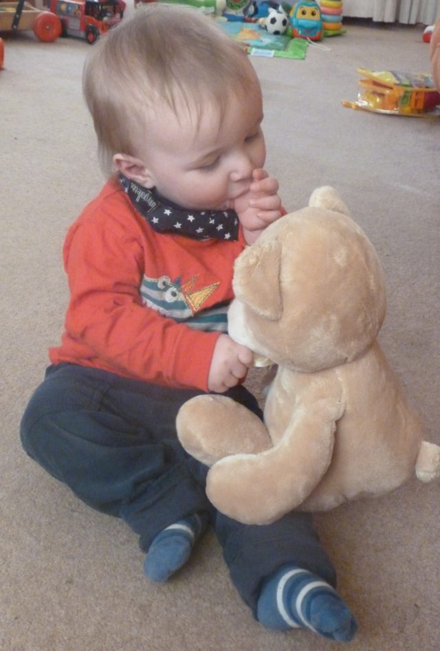 Teddy bear love