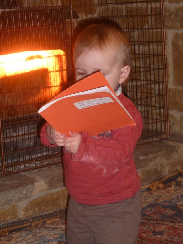 Nursery heat