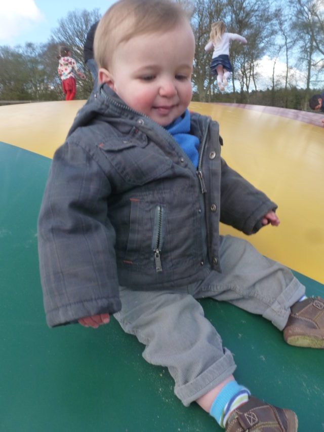 Bucklebury Farm Park visit with toddlers