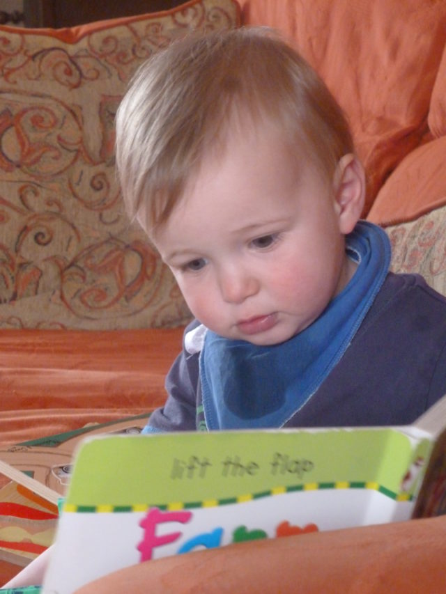 Busy reading about farms