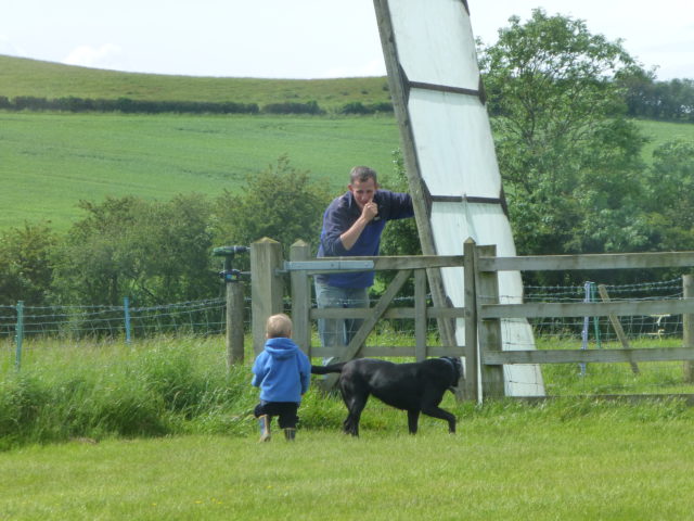 Overseeing pheasant shed building