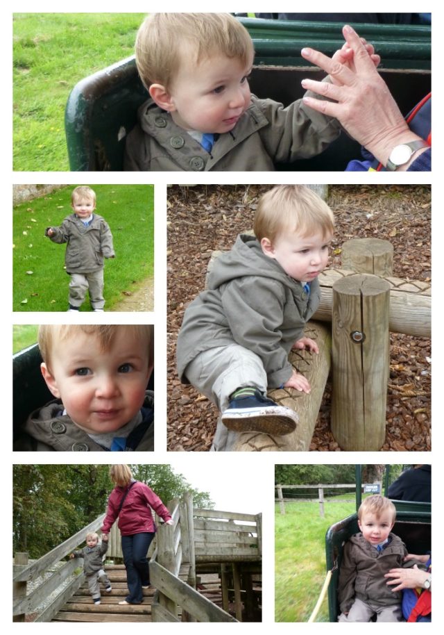 Blenheim Palace visit with a toddler