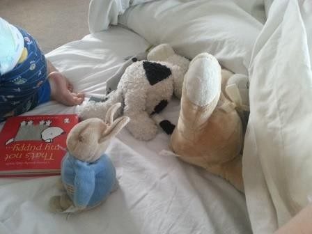 soft toy selection
