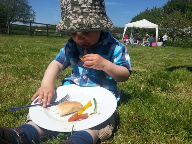 picnic