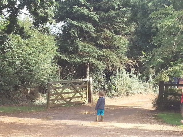 on the farm