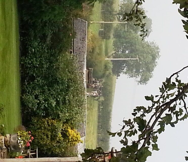 hunting on the farm