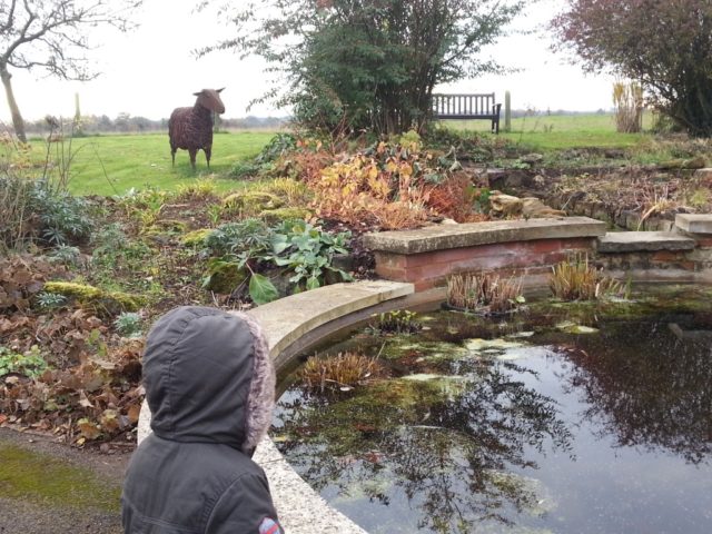 pond