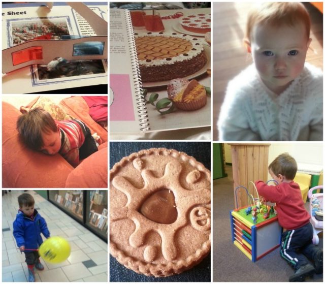365 project photo a day