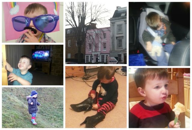 365 week 2 collage