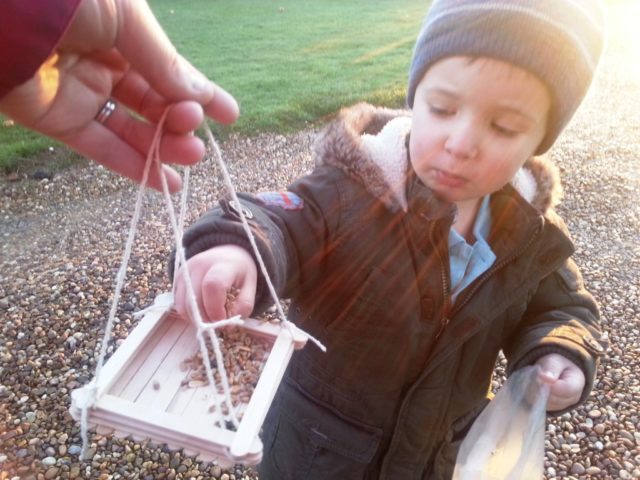 filling the bird feeder