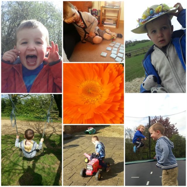 project #365 week 16