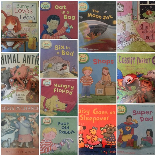 #365 300 picture books
