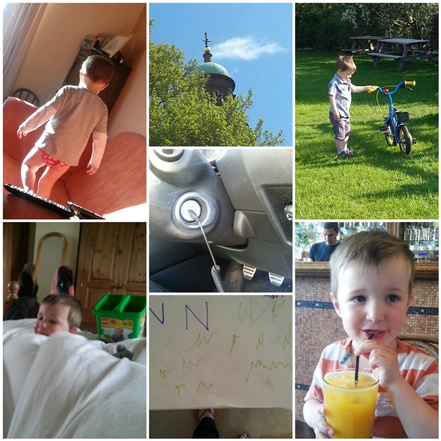 project #365 week 20 photo round up