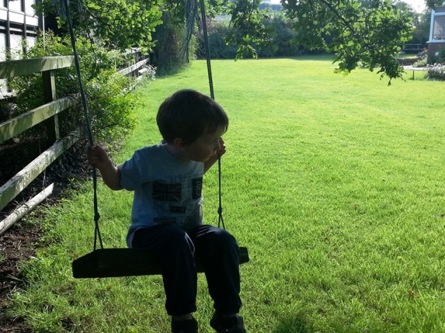tree swing
