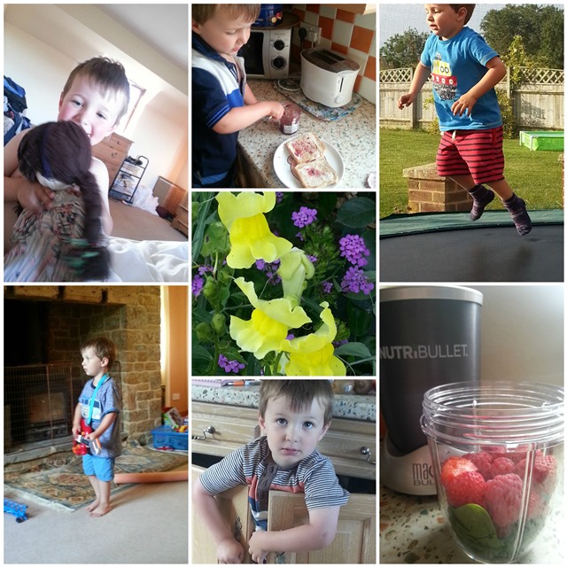 project 365 week 31
