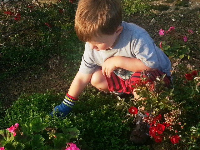 using a gardening glove