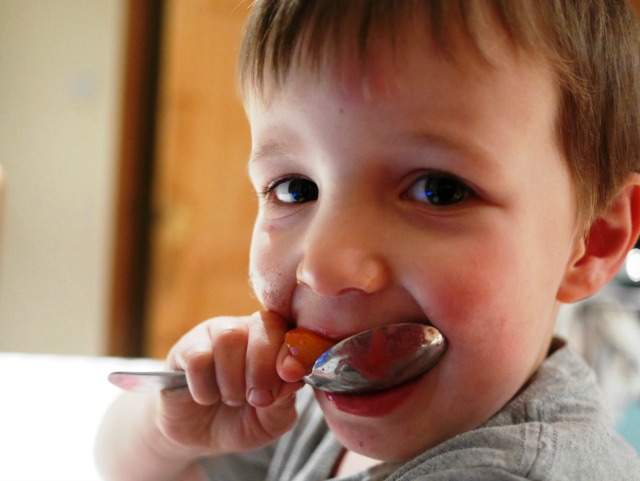 pudding time at evening meal