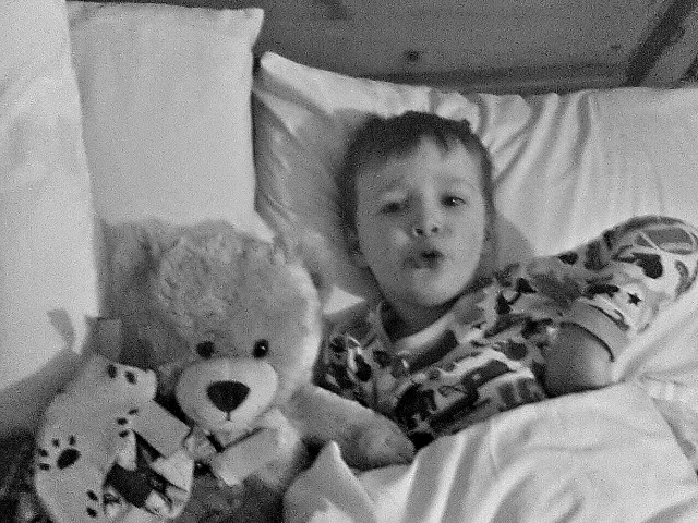 Project 365 2015 – week 2 photo a day