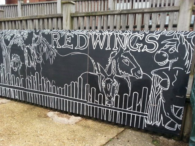 Redwings Horse Sanctuary