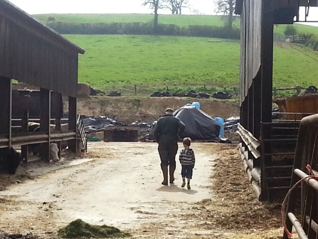 walking with his Gramp on the farm