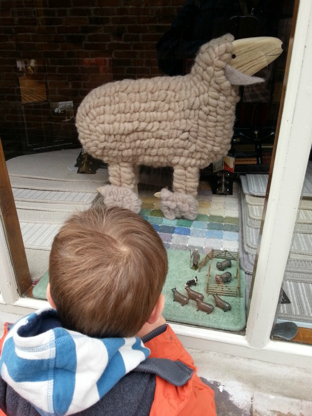 wishing he could have the sheep in the window