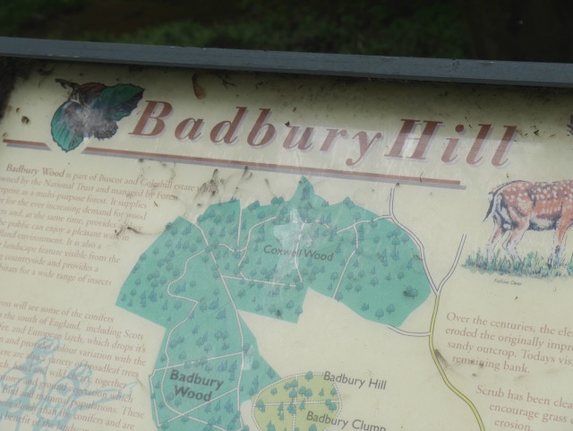 Badbury Hill