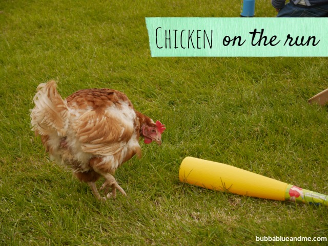 Chicken run – joining in the garden fun
