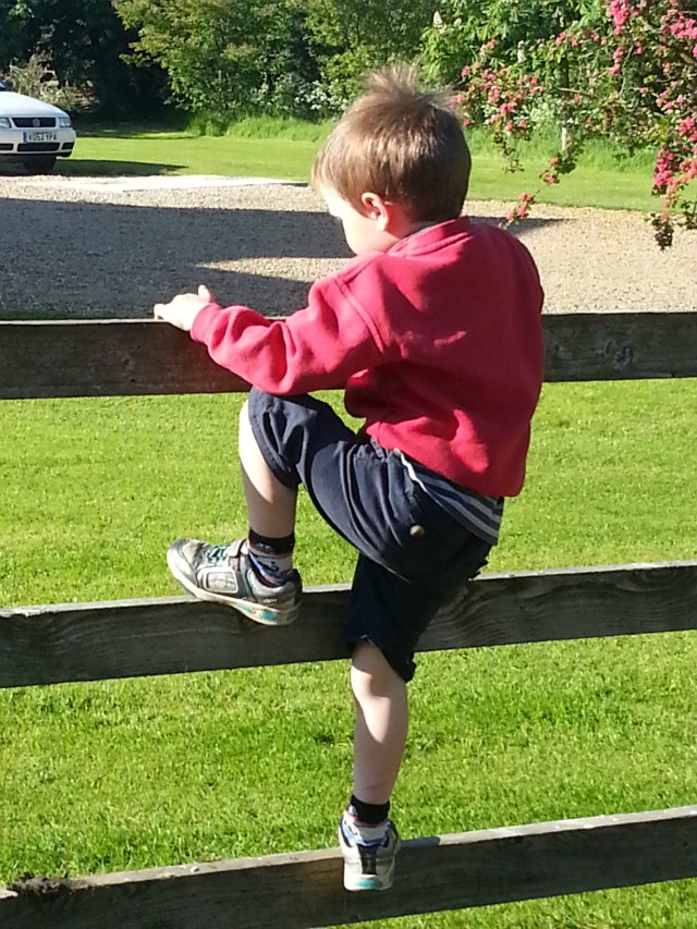 climbing over the fence