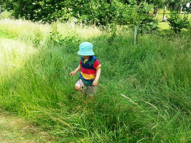 Swishing through the grass