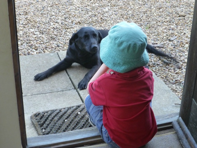 One boy and his dog - on the door step