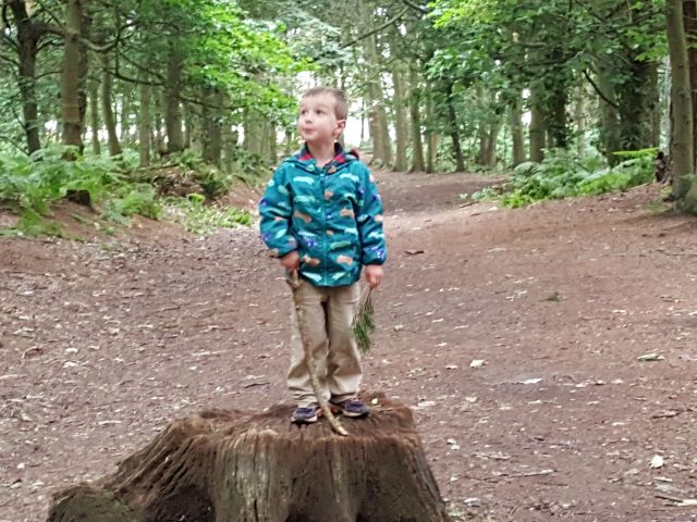 Standing tall at Rushmere Country Park