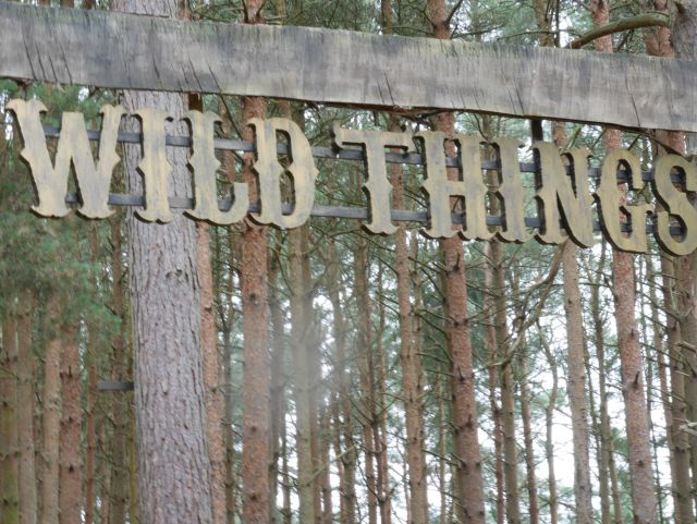 Wild Things at Rushmere Country Park
