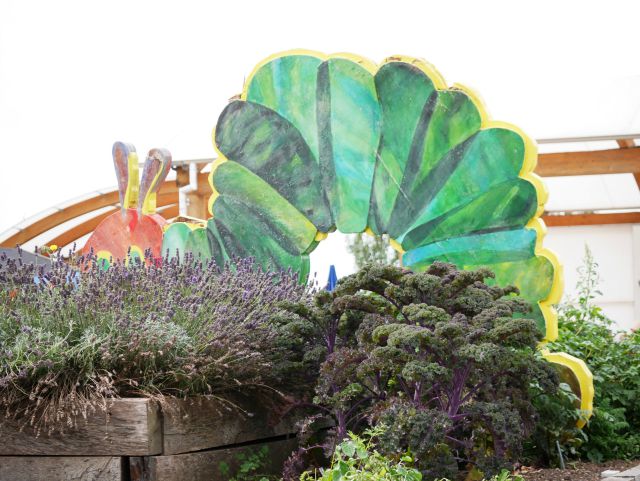 very hungry caterpillar vegetable garden