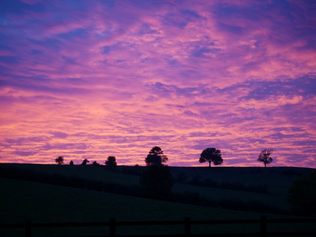 sunset in the countryside