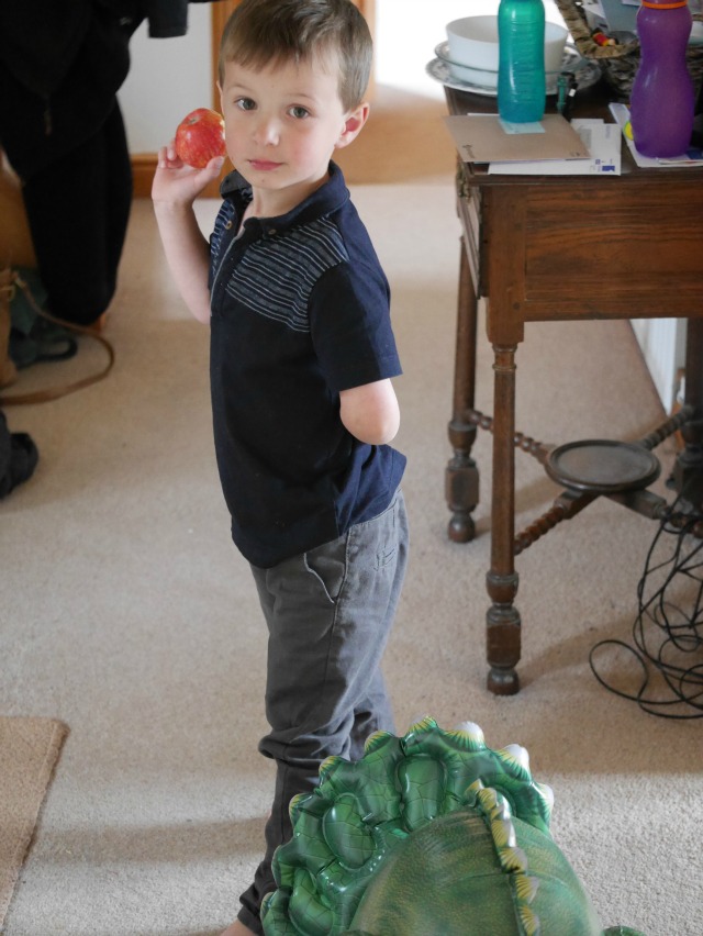 N and the dinosaur