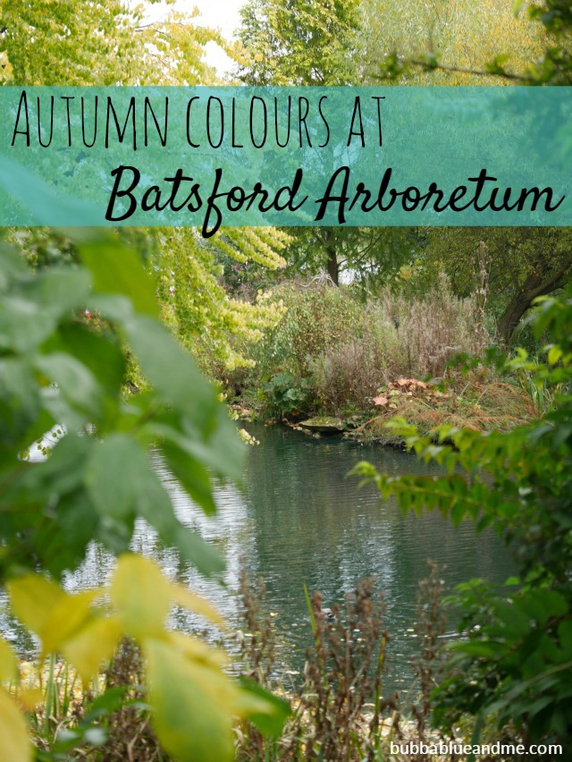 Autumn colours at Batsford Arboretum