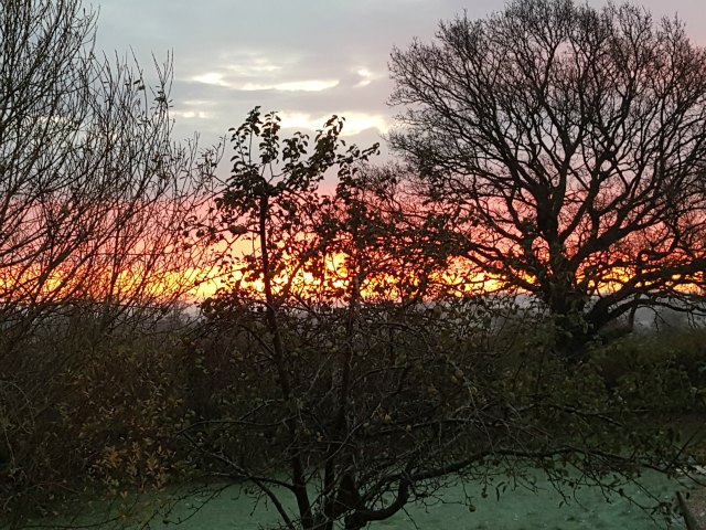 sunrise over the farm