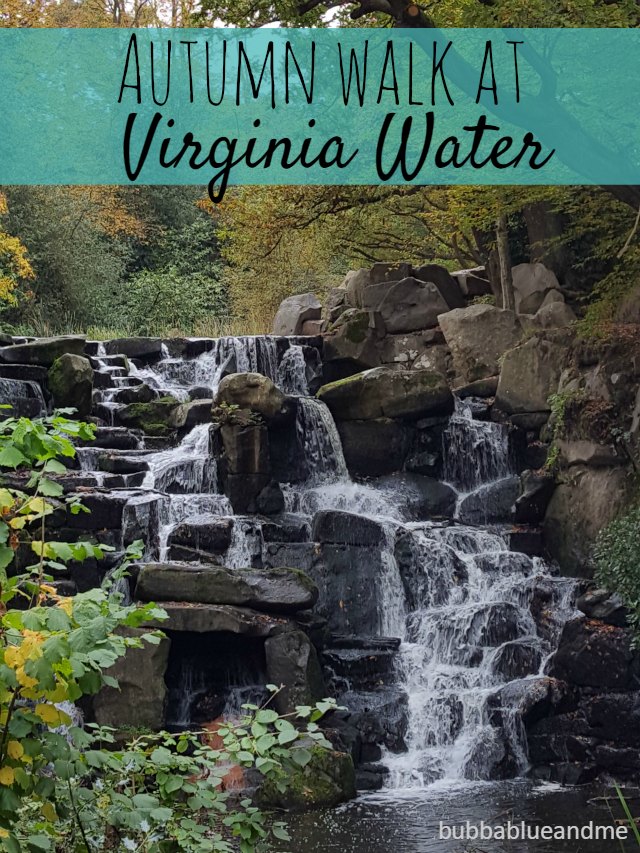autumn walk at virginia water