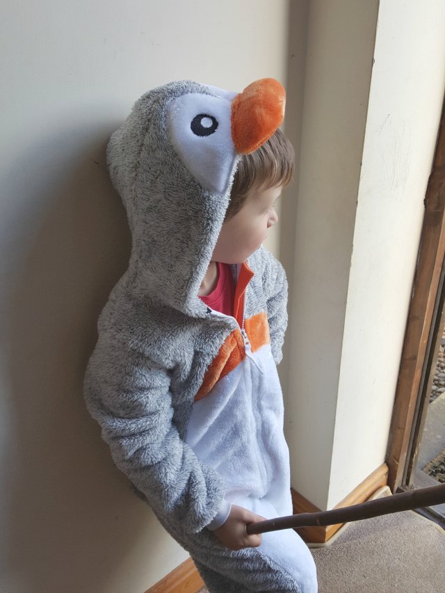 penguin onesie