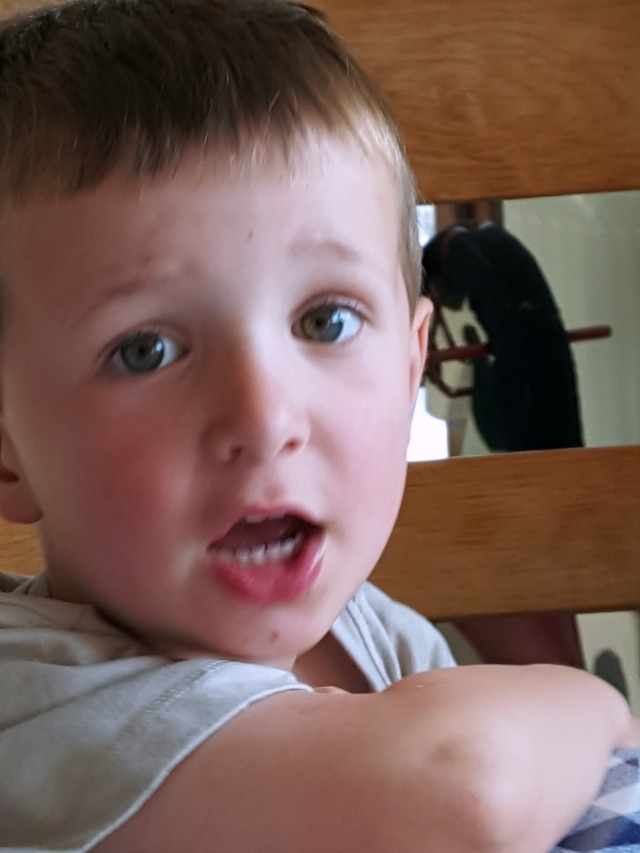 questions on kissing from a 4 year old