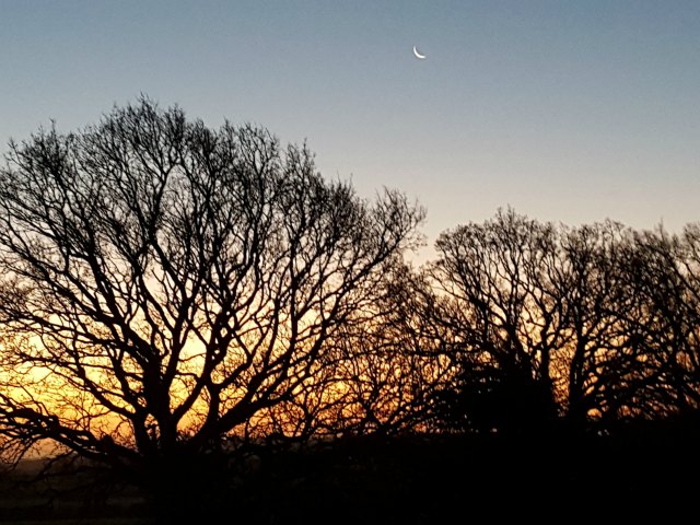 sunrise in December with crescent moon