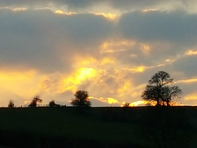 sunset over the fields