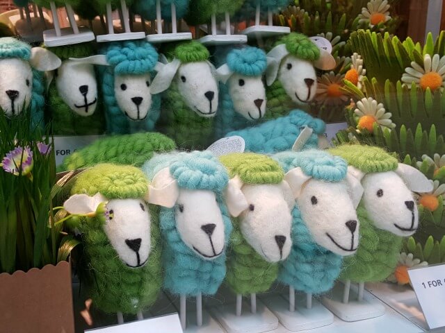 colourful sheep in Tiger