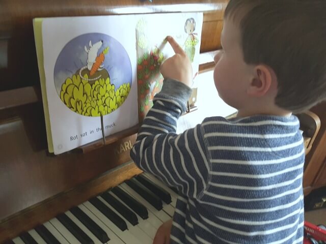 playing the piano and reading books