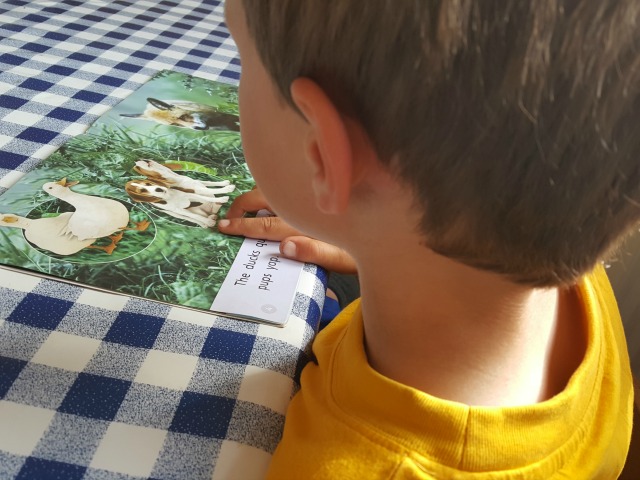 reading books from school