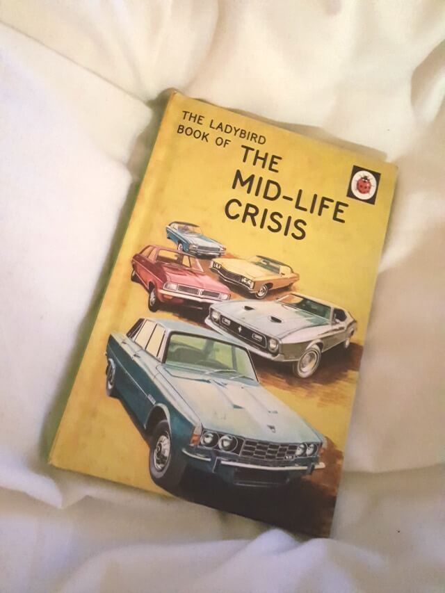 The midlife crisis ladybird book