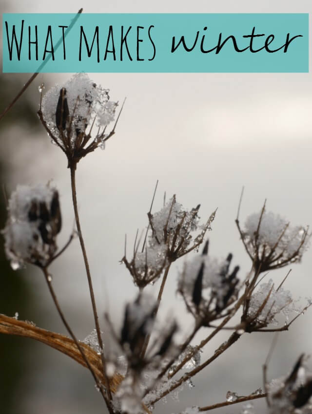 what-makes-winter-so-special-bubbablue-and-me