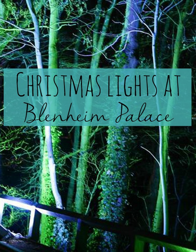 Christmas lights at Blenheim Palace - Bubbablue and me