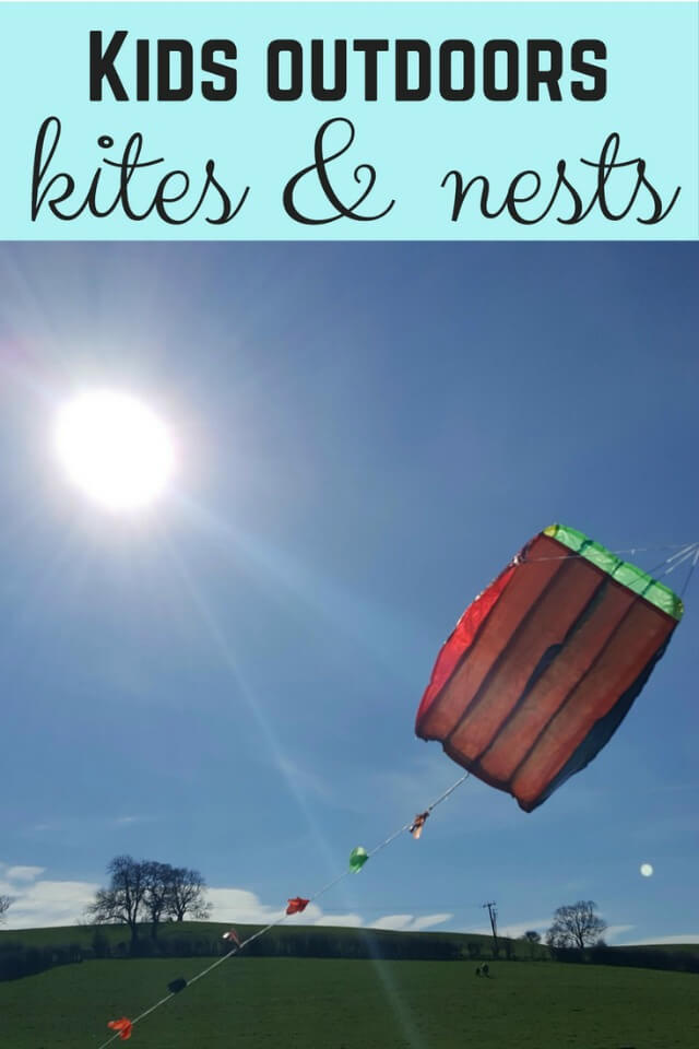 Get kids outdoors with kite flying and nest building - Bubbabue and me